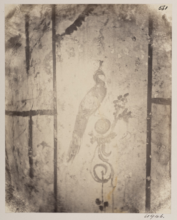 Smeaton首次出版的罗马地下墓穴的照片;壁画的孔雀在犹太人的地下墓穴