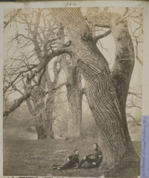 萨里郡奥尔巴尼公园，两名士兵坐在一棵西班牙栗子下;