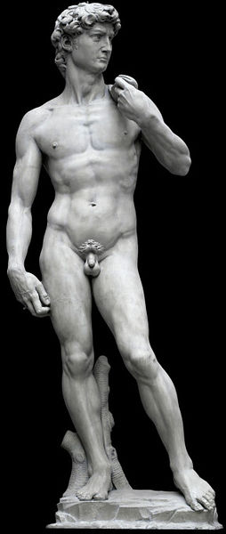 石膏的米开朗基罗的大卫博物馆不著名的大理石雕塑。repro.161 - 1857)©维多利亚和艾伯特博物馆,伦敦。