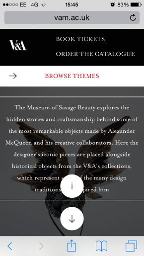 iPhone屏幕截图显示一个博物馆的野蛮的美丽错误