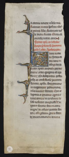 8987、页面从Glazier-Rylands圣经(前言的圣杰罗姆使徒行传),最初我用龙装饰层状尾巴;低地国家(埃诺);1260 - 70年,©V&A博物馆。