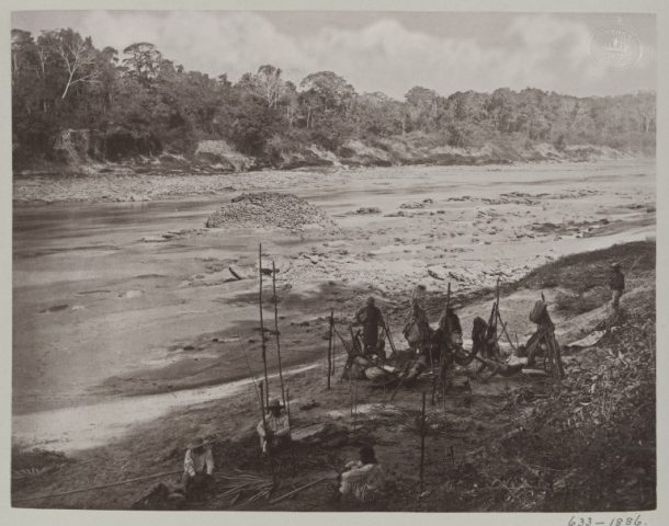 ph.633 - 1886 ph.633 - 1886张照片,蛋白打印的照片里约热内卢Usumacinta, Menche,危地马拉,由美联社Maudslay