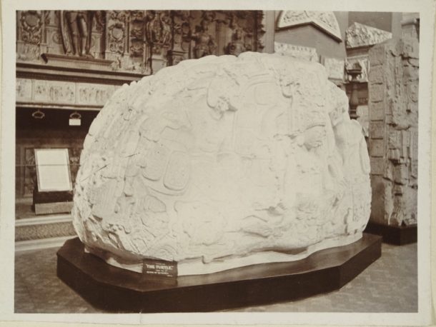 ph.72c - 1894的照片的石膏模型的乌龟,动物形状物体在Quirigua P纪念碑,危地马拉