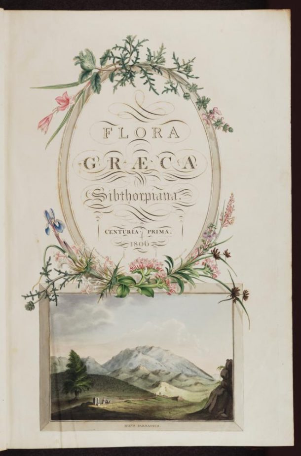 詹姆斯Sowerby(费迪南德·鲍尔之后),植物Graeca标题页,1806 - 40,手彩色雕刻Sherard女士(761)。牛津大学图书馆©,牛津大学,2015年