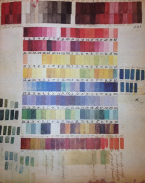 颜色图表(c.1770s)中发现的档案在马德里植物园演播大厅和鲍尔所使用的可能是兄弟©Archivo del真实查顿Botanico CSIC、马德里。