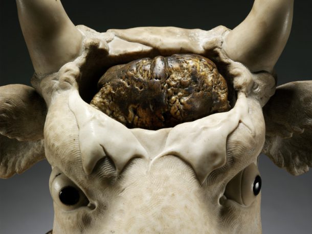 60 - 1882的雕像的头牛;大理石雕像的头牛在树干上,(北意大利帕多瓦,约1650 - 1700帕多瓦17世纪下半年大理石和木材。在日期为2015年2月6日的一份报告中,分析了木材识别它作为高山松树,可能松果体cembra。