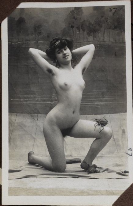 米尔福德港收集照片、明信片、法语、c。1910 e.523:87 - 2001