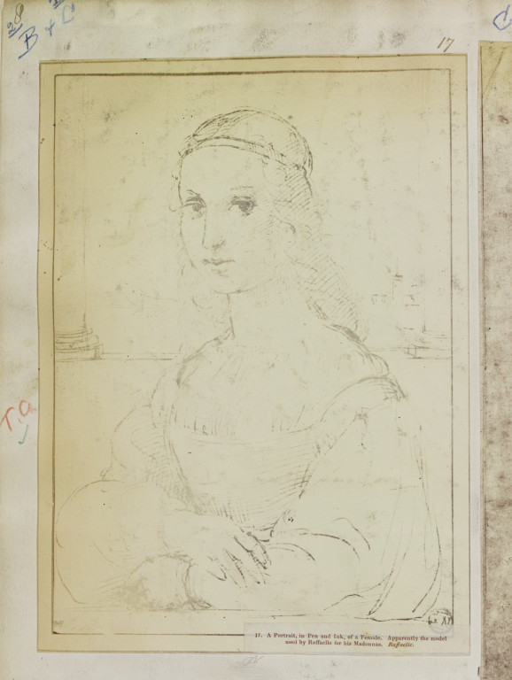 拉斐尔的一幅女性肖像，铅笔画，据说是他的圣母像的原型