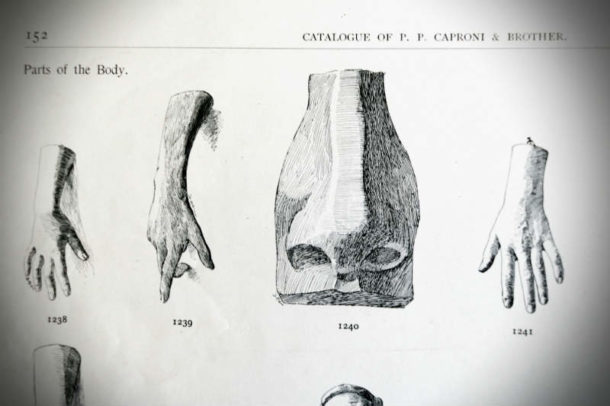 大卫的鼻子,细节从P.P.卡普罗尼和兄弟目录,1894。形象,安德里亚·菲利斯2017年。