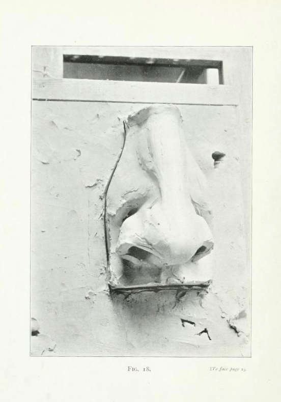 4所示。Lanteri鼻子光滑。细节从爱德华Lanteri造型:指导教师和学生,1卷(伦敦:查普曼&大厅,1902)。