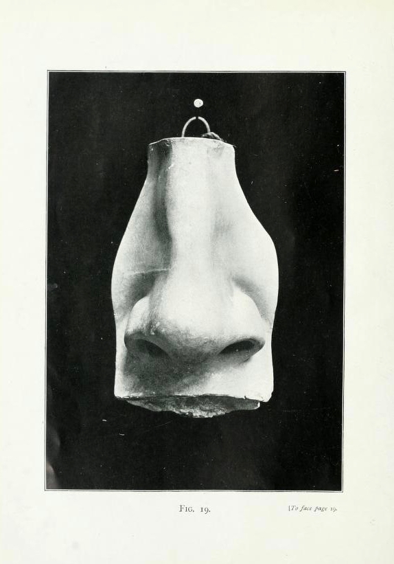5。Lanteri鼻子完成。细节从爱德华Lanteri造型:指导教师和学生,1卷(伦敦:查普曼&大厅,1902)。