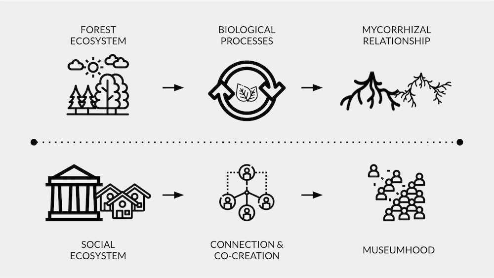 生动的博物馆生态系统图，将社会和共同创造与博物馆联系起来