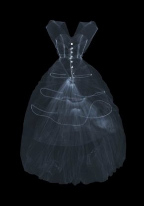 真丝塔夫绸晚礼服,巴黎世家。尼克•Veasey x射线©2016。