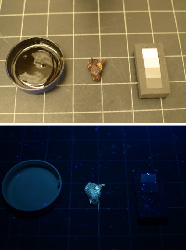 上图:环境光下的图像。底部:紫外线诱导发光的罗望子酱(左),和肉(中)一个非发光参考标准(右)