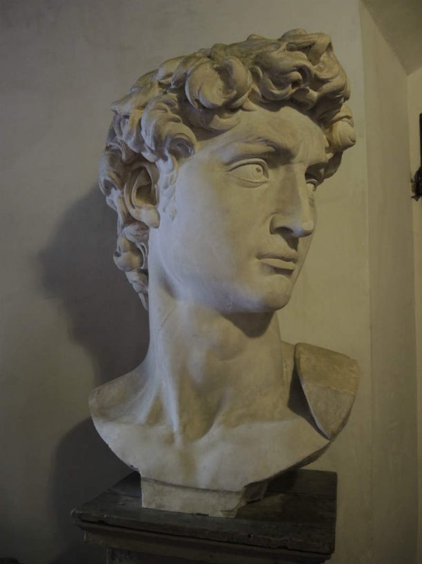 图2。克莱门特爸爸,石膏米开朗基罗的大卫的头,1848。学院di美女Arti,佛罗伦萨。图片由Domenico Viggiano, 2017年。