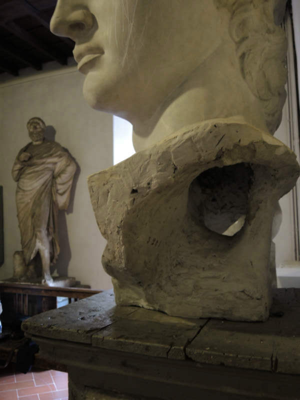 图3。细节的空心的大卫的头与纪录片铭文学院di美女Arti佛罗伦萨。图片由Domenico Viggiano。