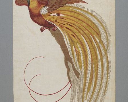 描绘天堂鸟的装饰织物