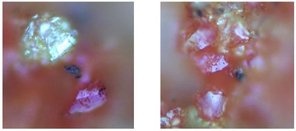砷的爱人设计在显微镜下:谷物颜料放大了500倍。